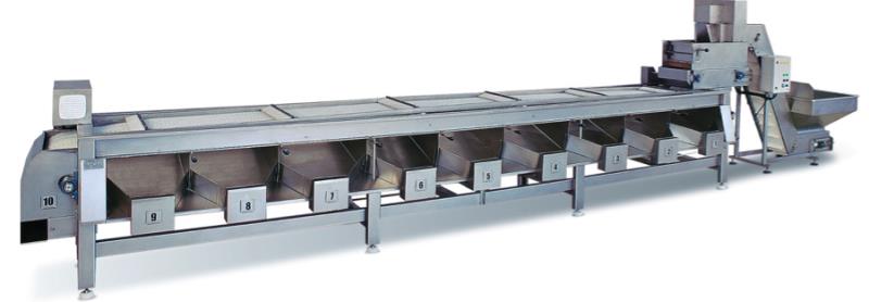 Olives Pitting & Stuffing Machine<br>with high density pastes.