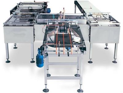 CKM-GK WAFER CUTTING MACHINE (SINGLE HEAD)